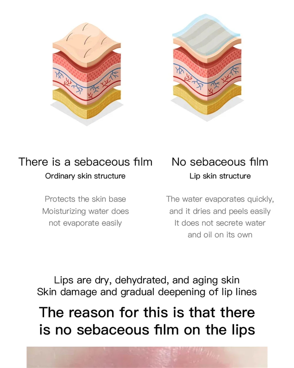 Coconut Lip Balm Lasting Nourishment and Moisture for Men and Women Daily Care Lip Balm Hydrating Repair Dry & Chapped Lips